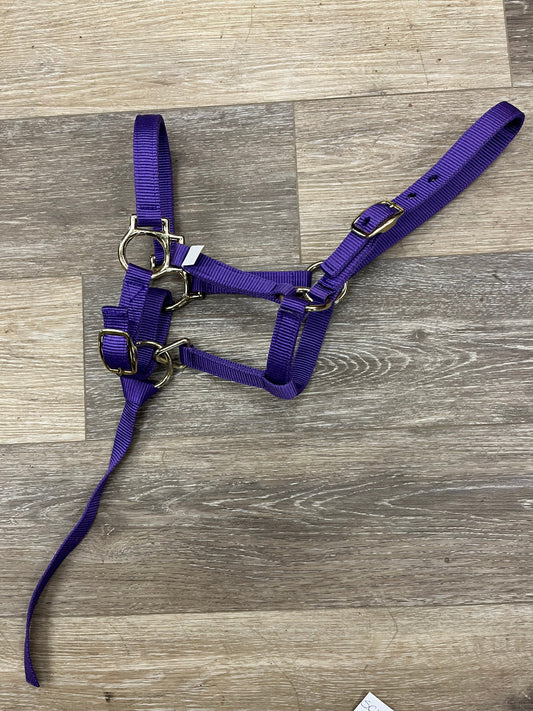 Consignment Supra Nylon Weanling Halter