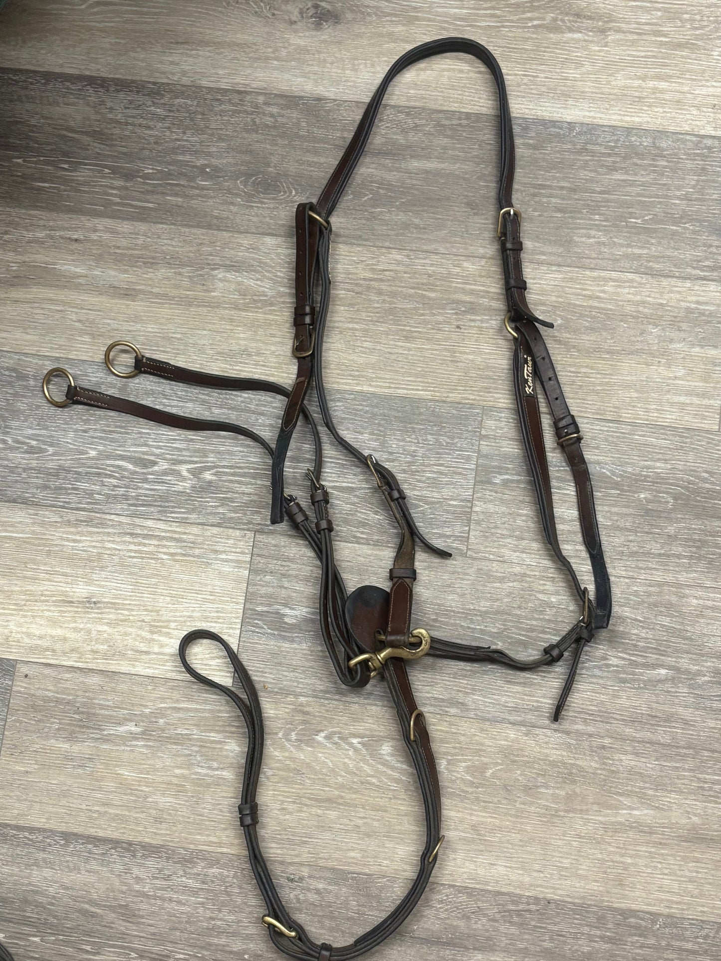 Consignment Raised Standing Martingale F