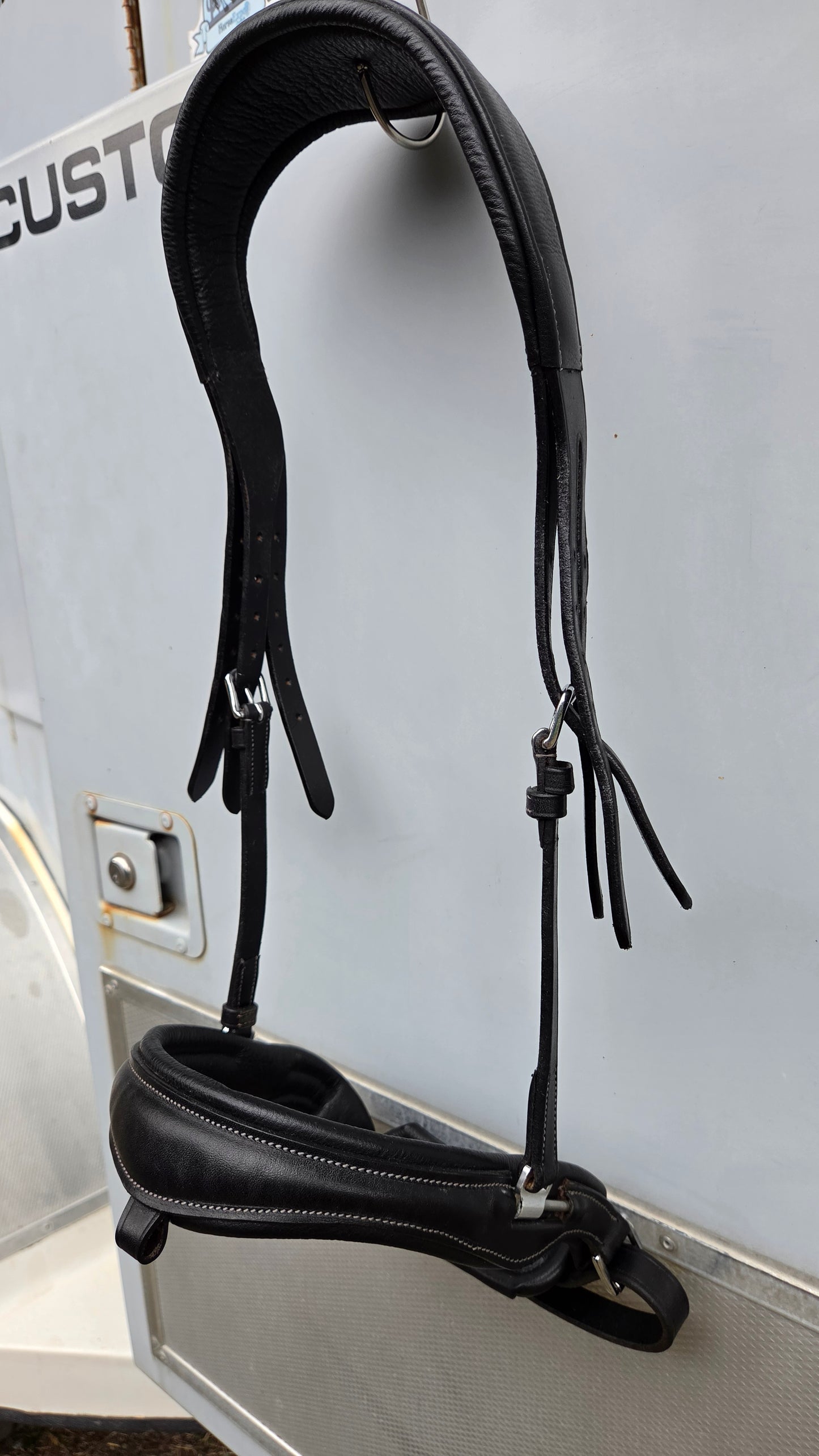 Acavallo Filosofia Bridle