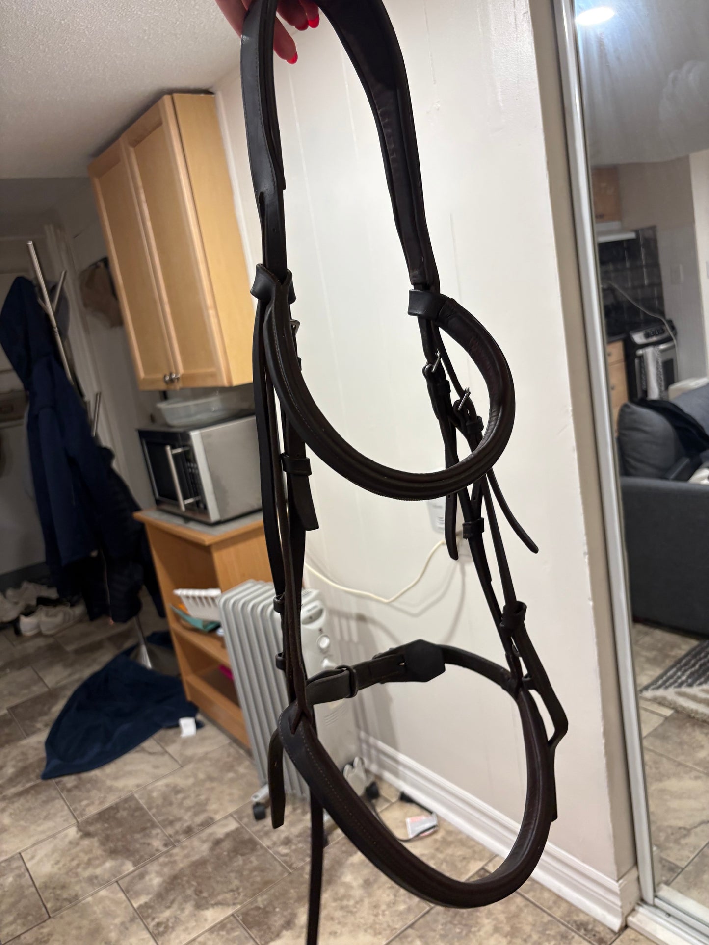 antares origin bridle with laced reins