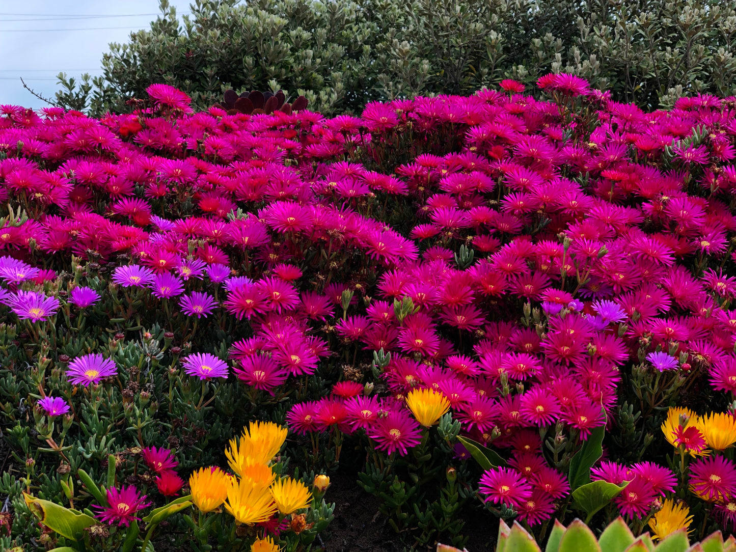 test4