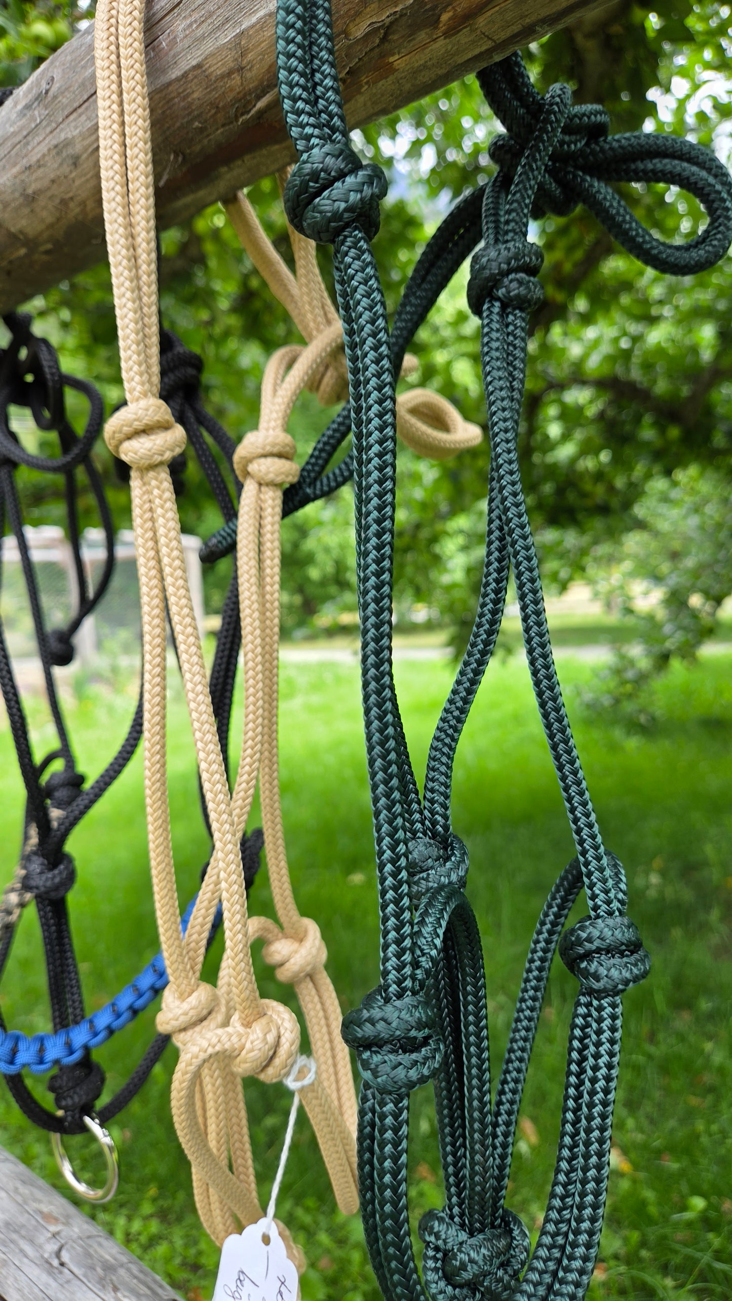 Rope Halters