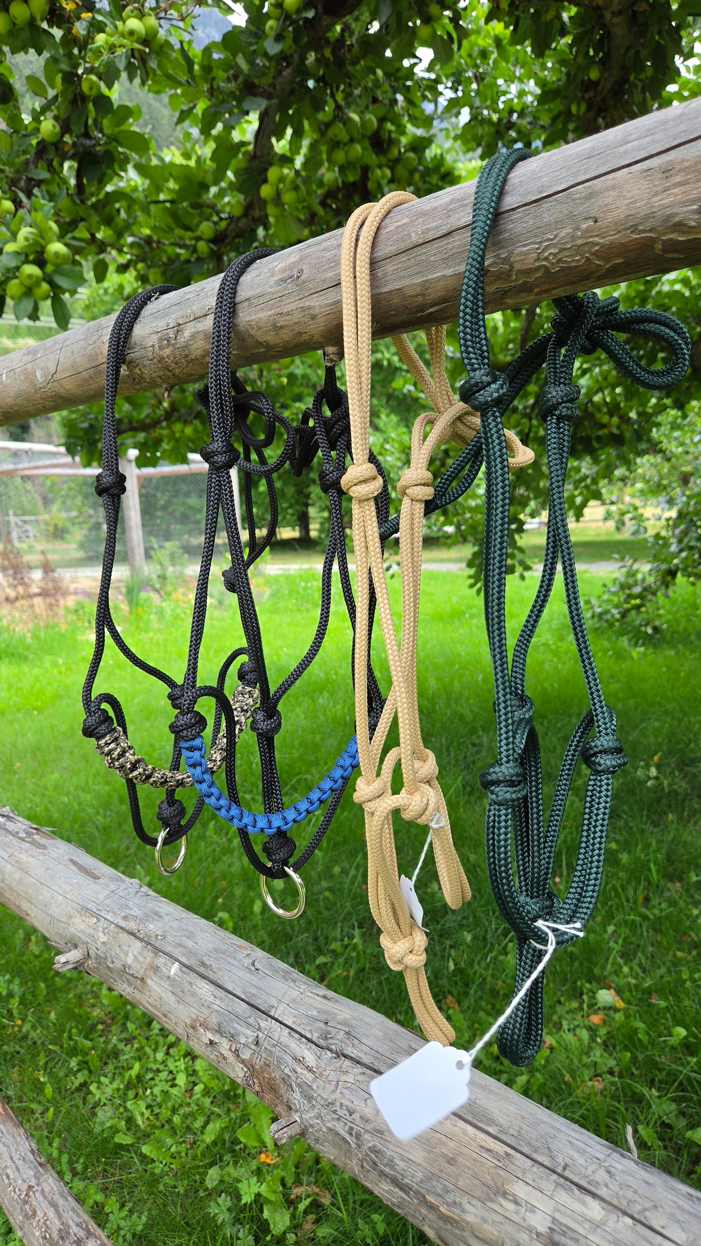 Rope Halters