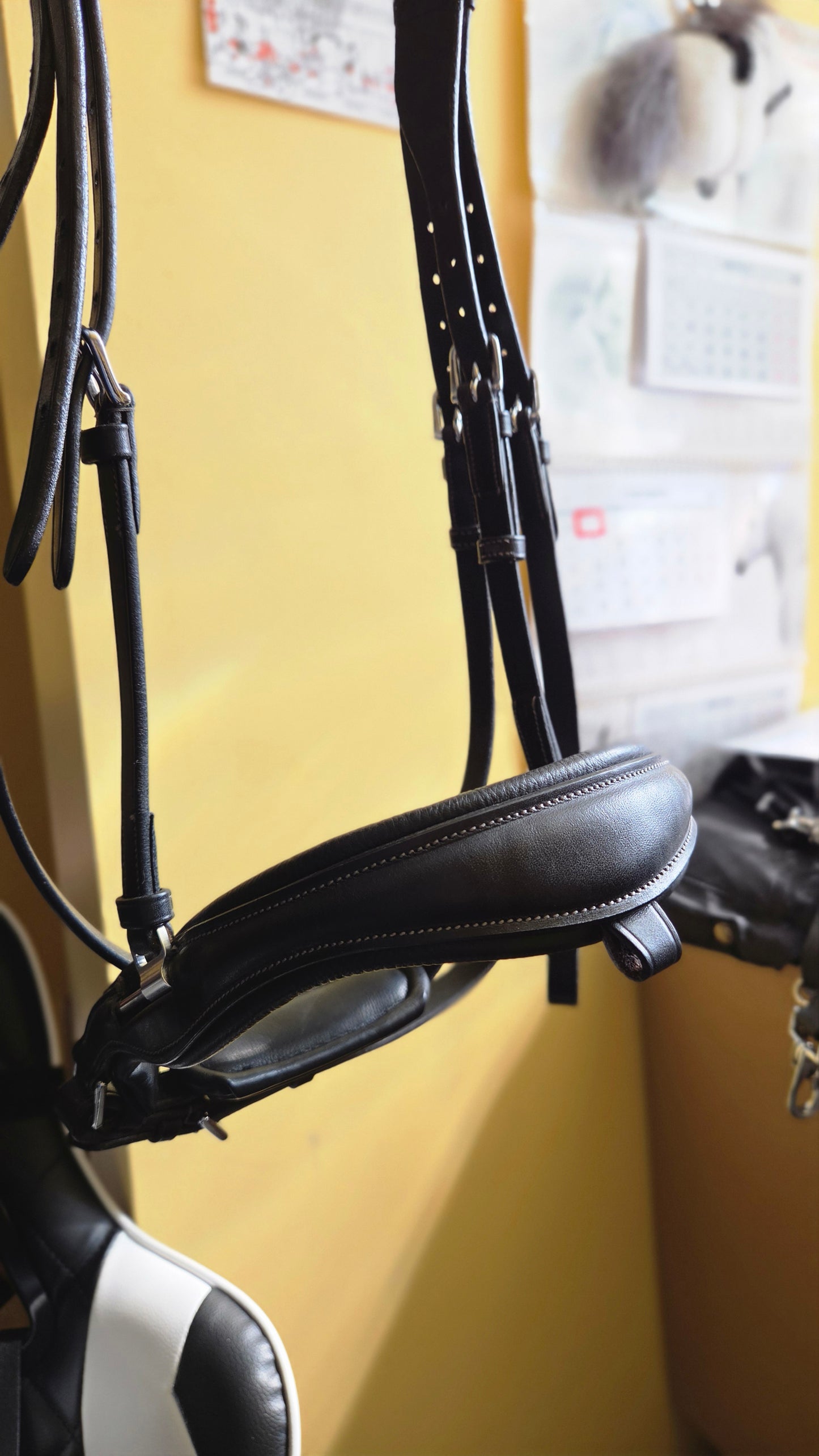 Acavallo Filosofia Bridle