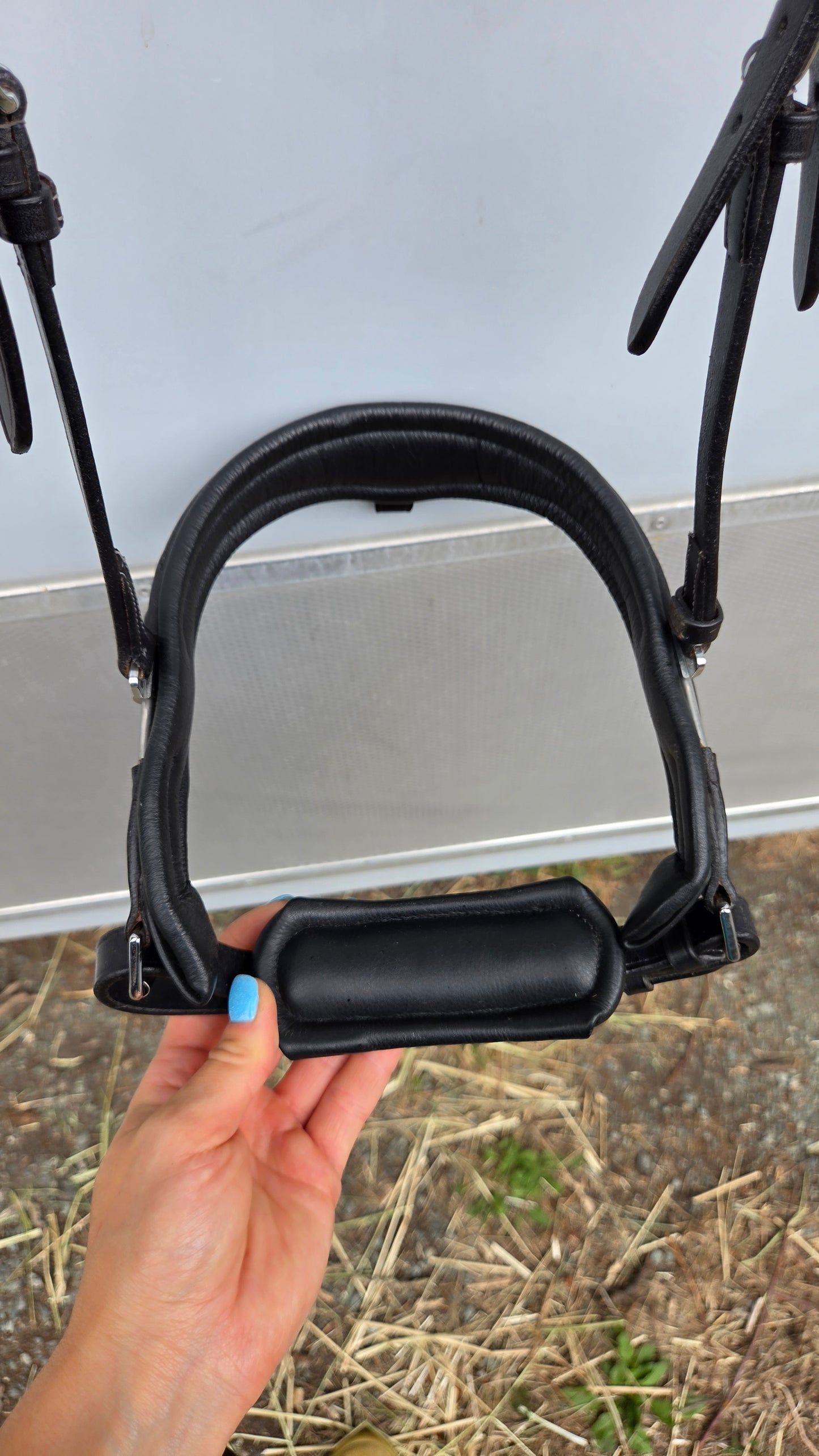 Acavallo Filosofia Bridle